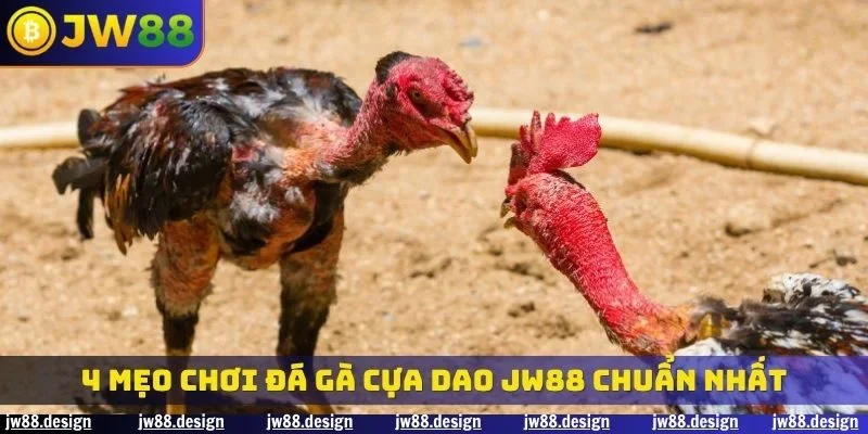 4 mẹo chơi đá gà cựa dao JW88 chuẩn nhất