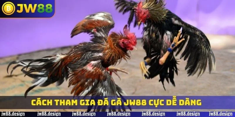 Cách tham gia đá gà JW88 cực dễ dàng