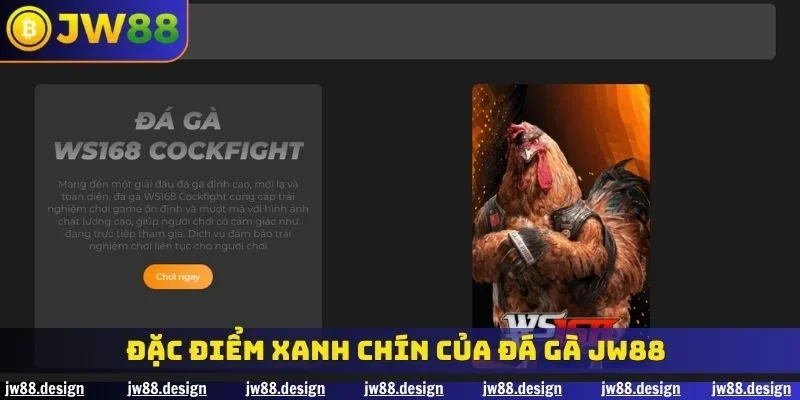 Đặc điểm xanh chín của đá gà JW88