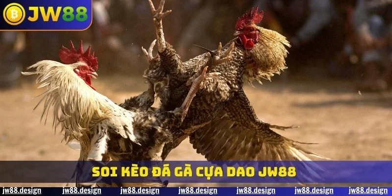 Đá Gà Cựa Dao JW88